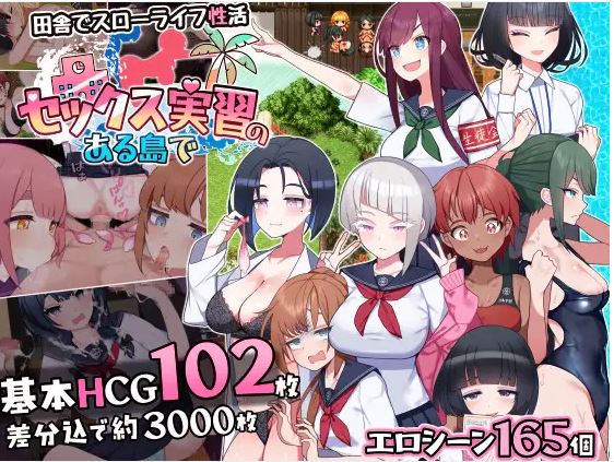 【电脑+安卓/日式RPG/ai汉化】在一个接受性训练的岛屿上【1.39G】-萌玩ACG